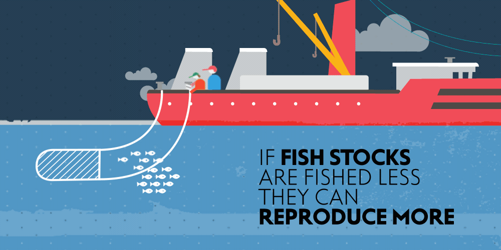 Infographic summary of report