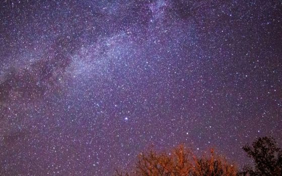 NEF at Big Tent Ideas Festival