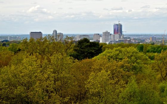 Fighting the climate crisis in Croydon
