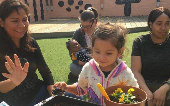 Universal basic services