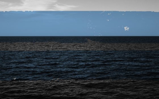 Fish dependence - 2016 update