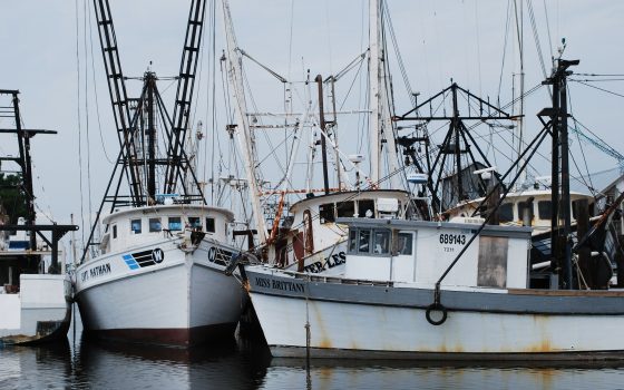 Media capture in UK fisheries