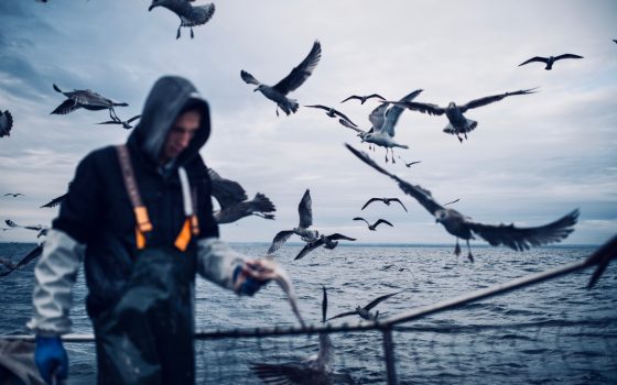 Fishing after Brexit: voices from the coast