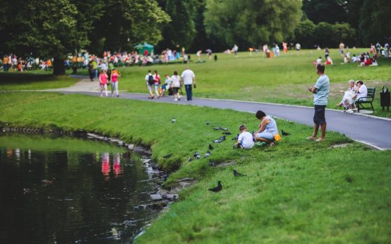 Reprotection: halting the EU's deregulation drive