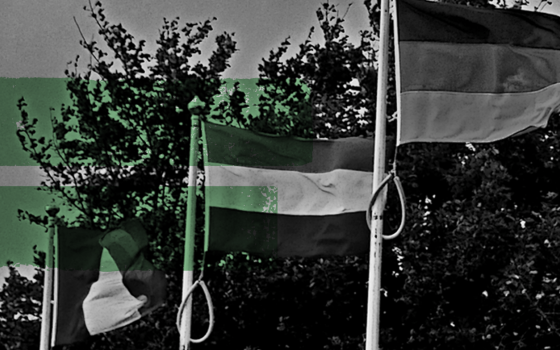 European elections: what to look out for in 2017